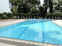 Equatorial Apartments (D15), Apartment #461800321